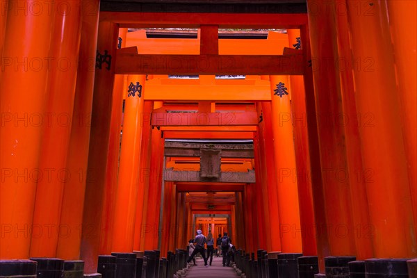 Torii or gates leading to the inner shrine