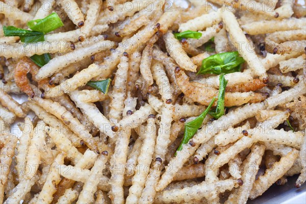 Deep-fried bamboo worms garnished with scallion leaves