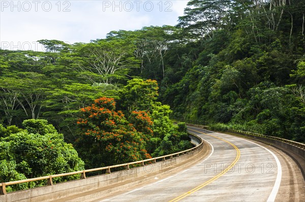 Road from Kilauea to Princeville