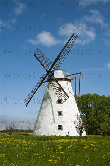 Windmill