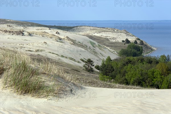 Grey Dunes