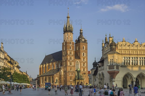 Gothic St. Mary's Basilica