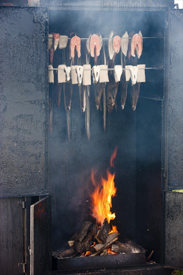 Fish in the smoker