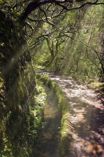 Levada das 25 Fontes