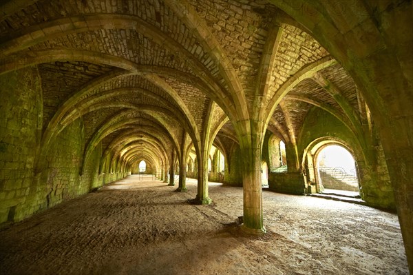 Gothic arches of the great hall of Fountains Abbey