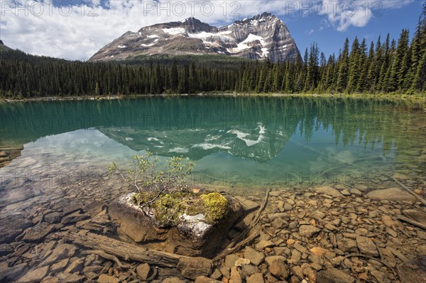 Lake O'Hara