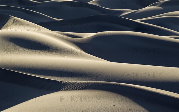 Mesquite Flat Sand Dunes