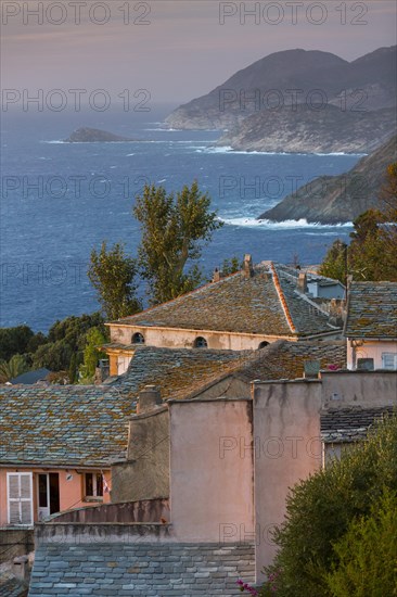 Houses in Pino