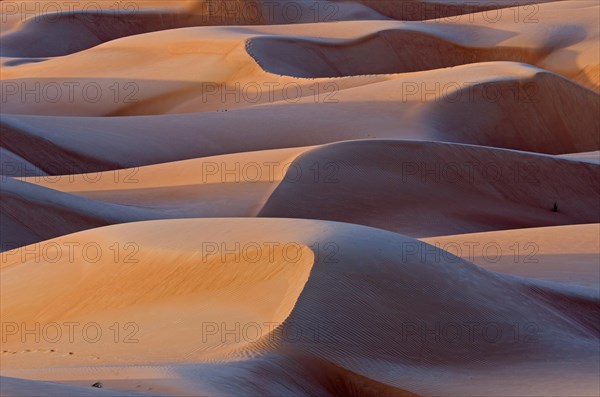 The sand dunes of the Wahiba Sands desert