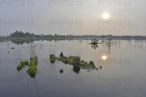 Sunrise in the Hahnenmoor nature reserve