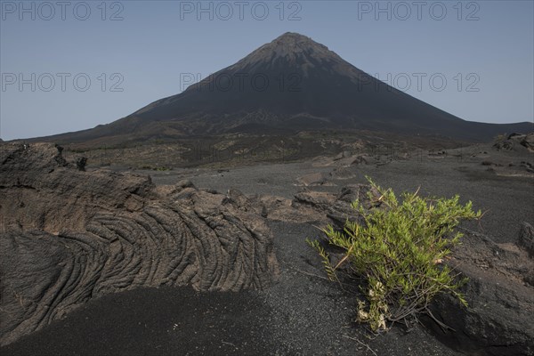 Volcanic rock and ash