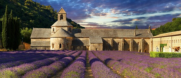 The Romanesque Cistercian Abbey of Notre Dame of Senanque