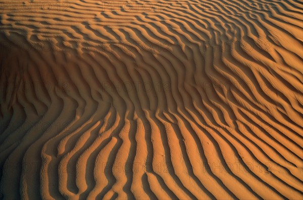 Patterns of the sand dunes of the Wahiba Sands desert