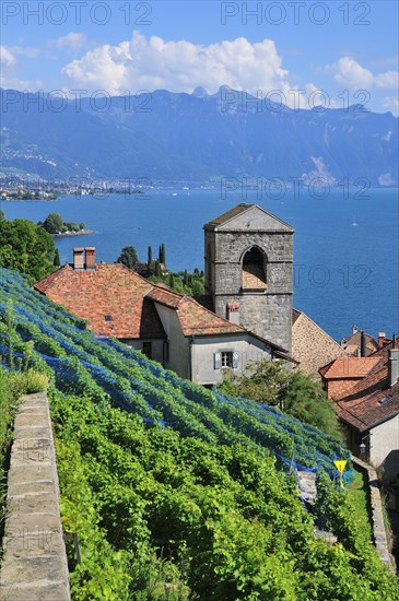 View over the wine-producing village and Lake Geneva towards Lausanne
