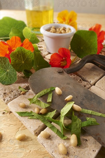 Fresh Nasturtium (Tropaeolum)