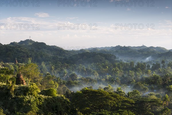 Pagodas surrounded by trees