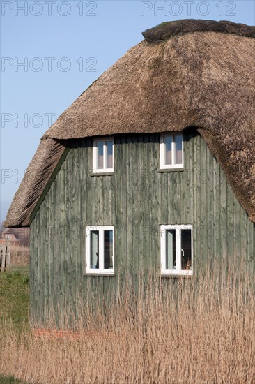 Thatched Frisian house