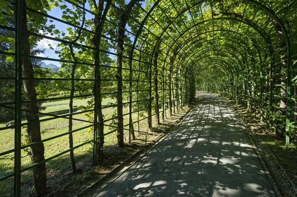 Garden archway