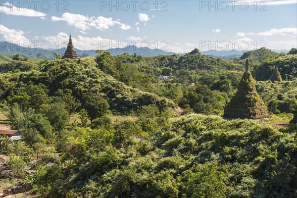 Pagodas amidst trees