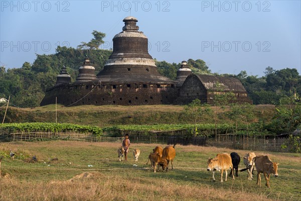 Young herdsman with cattle in front of Htukkanthein