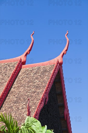 Detail of the multi-tiered roof of the National Museum building