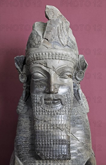 Bust from the archaeological site of Persepolis