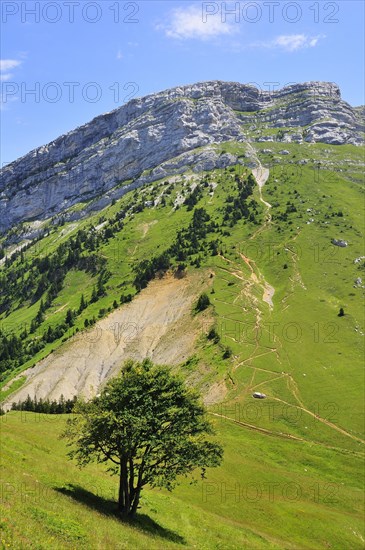 View from the mountain pass Col des Ayes on the Dent de Crolles mountain