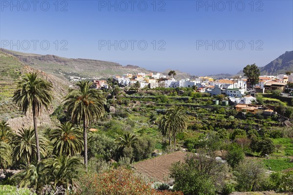 Townscape San Bartolome de Tirajana