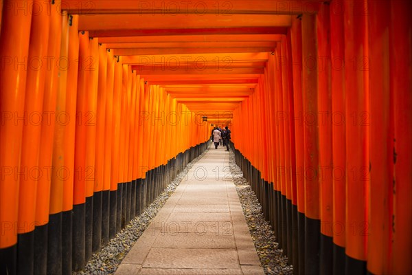 Torii or gates leading to the inner shrine