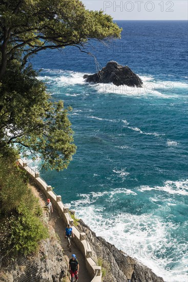 Hiking trail along the coast