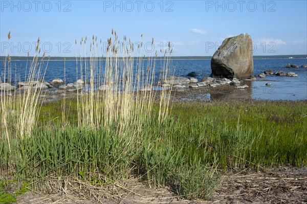 Coast near Kasmu