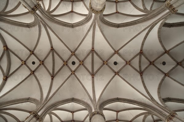 Gothic ceiling vault of the Church of St. Lambert
