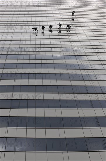 Window cleaners cleaning a glass facade