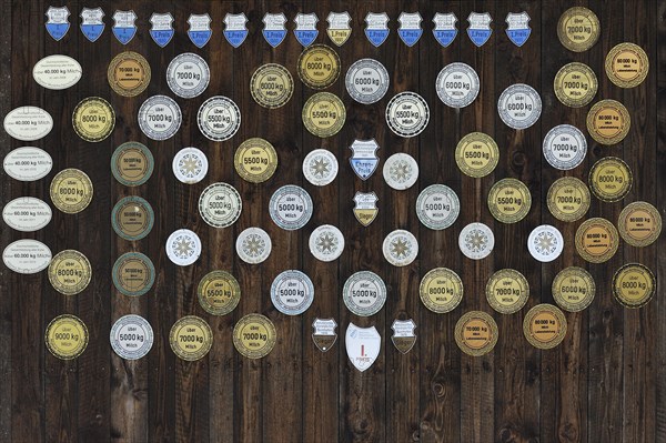 Award plaques for special milk production yields on a stable door