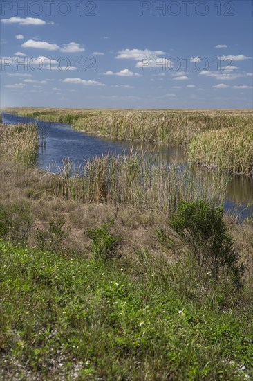 Stormwater Treatment Area 3-4