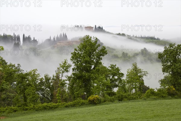 Fog in the valleys of the Crete Senesi