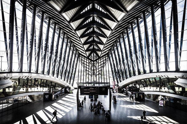 TGV station at Lyon airport