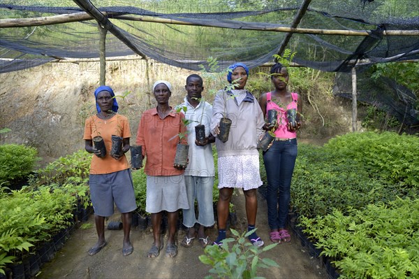 Women with seedlings in a nursery