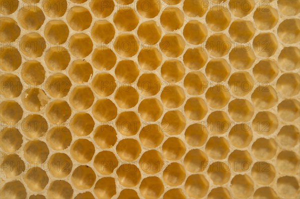 Honey combs