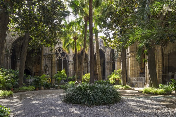 Courtyard of Barcelona Cathedral