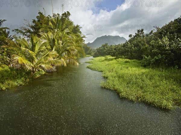 Stream with rain and sun