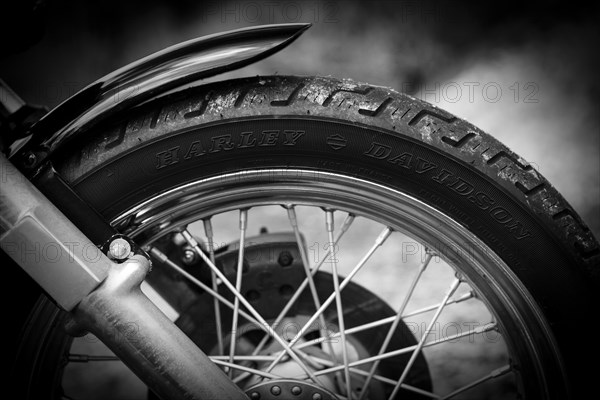 Front wheel of a Harley Davidson motorcycle