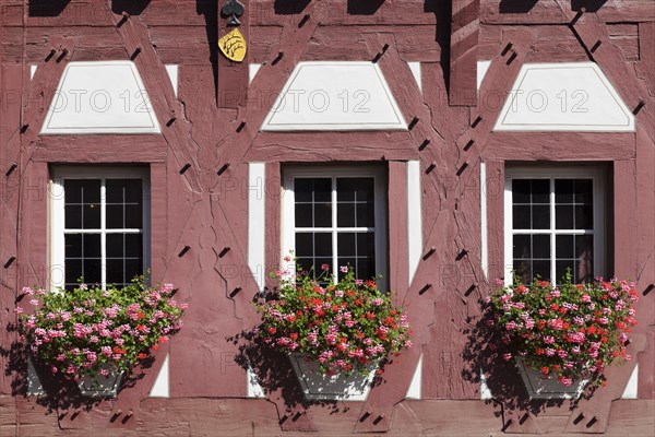 Flowers at the windows of the town hall