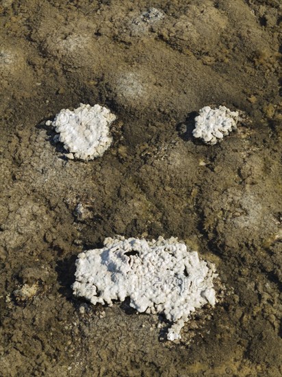 Salt deposits in a shallow pool