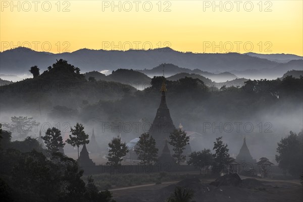 Pagodas surrounded by trees