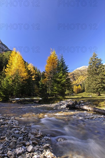 Mountain stream