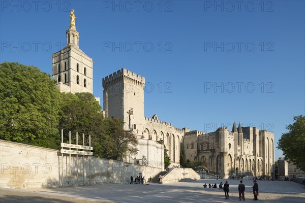 Palais des Papes and Place du Palais des Papes