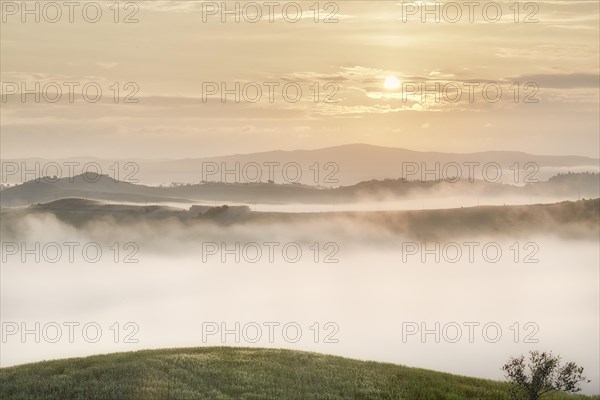 Fog in the valleys of the Crete Senesi