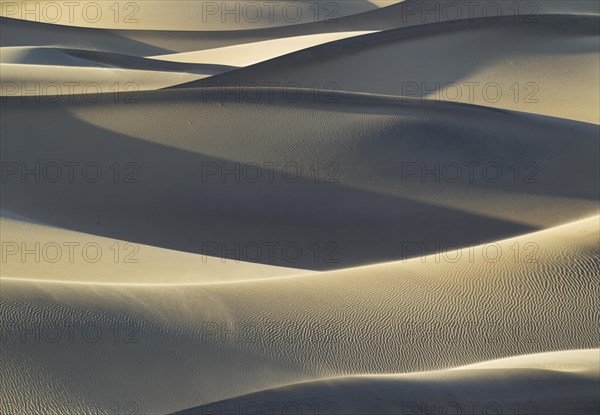 Mesquite Flat Sand Dunes in the evening