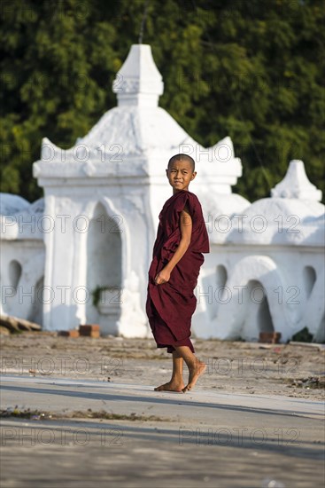 Young buddhist monk or novice